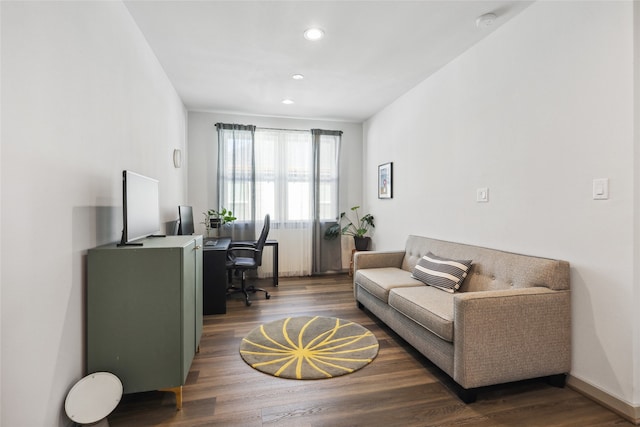 living room featuring hardwood / wood-style flooring