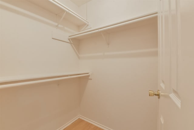 spacious closet with light wood-type flooring