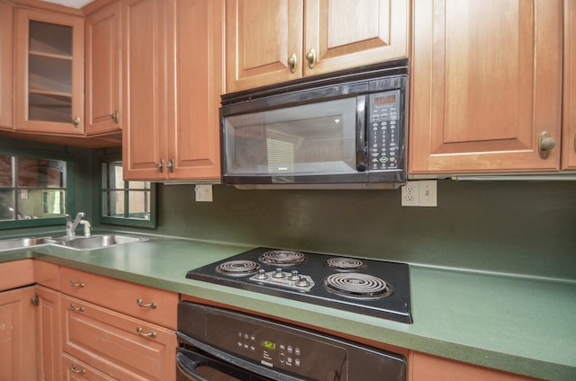 kitchen with sink and black appliances