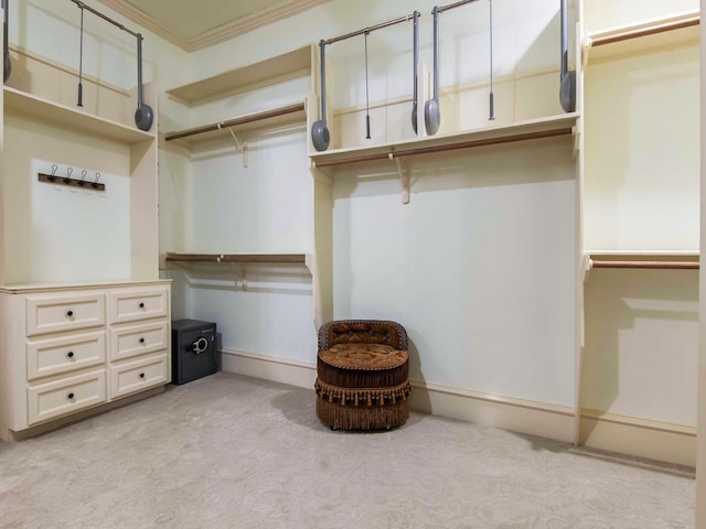 spacious closet featuring light colored carpet