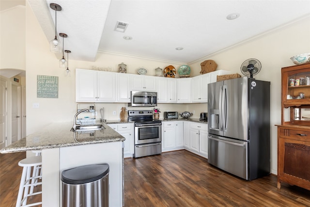 kitchen featuring dark wood-type flooring, light stone countertops, sink, kitchen peninsula, and stainless steel appliances