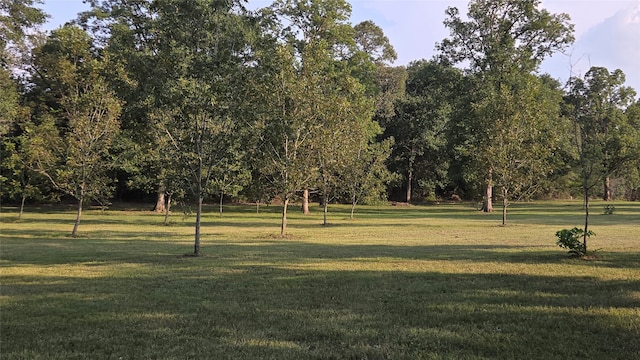 view of community featuring a yard