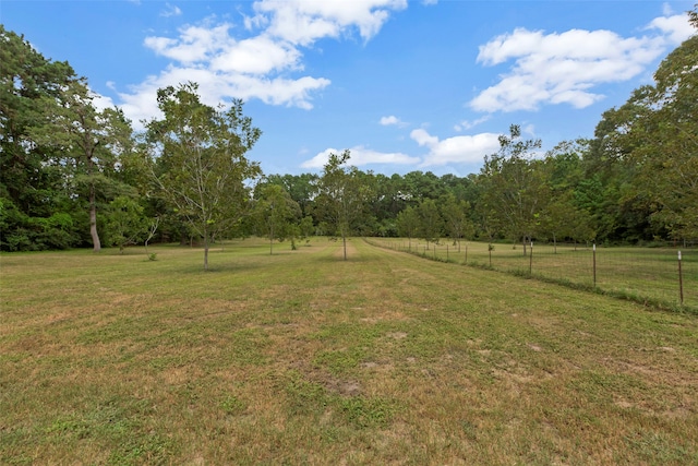 view of yard featuring a rural view