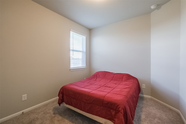 bedroom featuring carpet