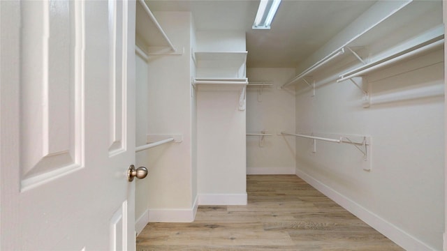 spacious closet with light wood-type flooring