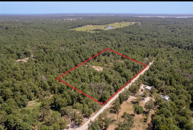 259 E Forest Oaks Dr, Trinity TX, 75862 land for sale