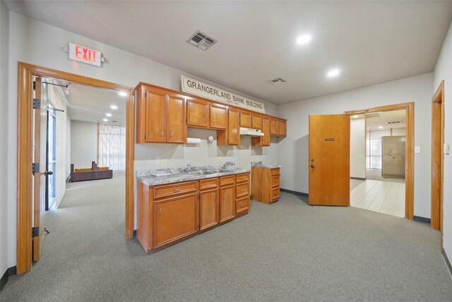 kitchen with sink and light colored carpet