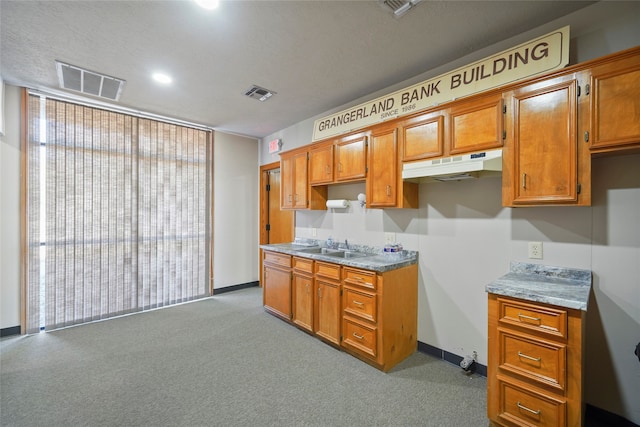 kitchen with sink and a textured ceiling