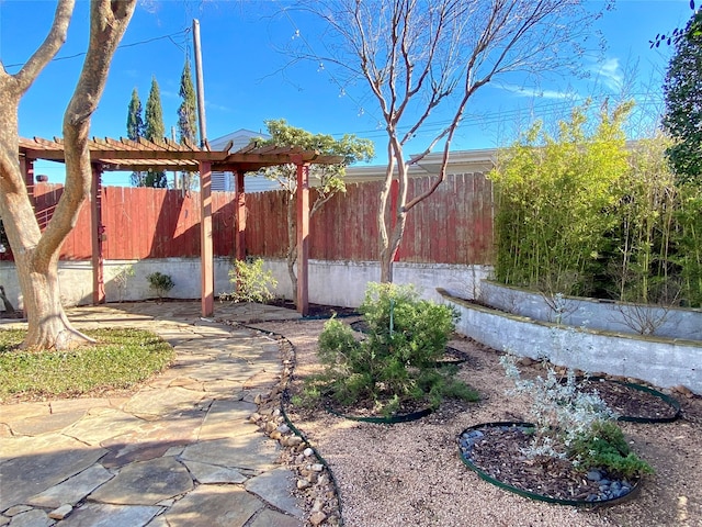 view of yard featuring a patio