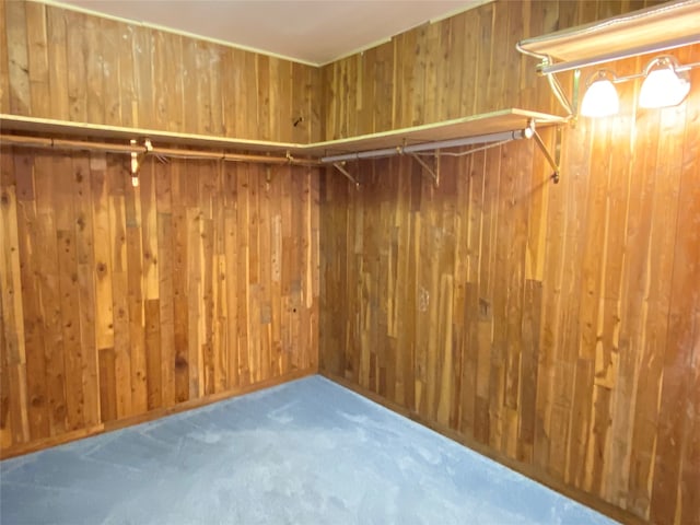 walk in closet featuring carpet flooring