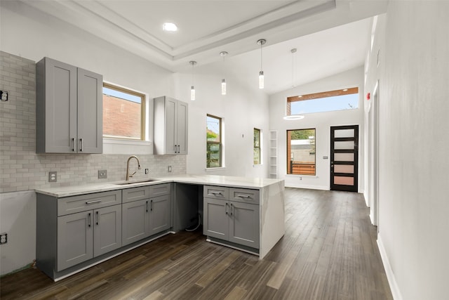 kitchen with sink, plenty of natural light, and dark hardwood / wood-style floors