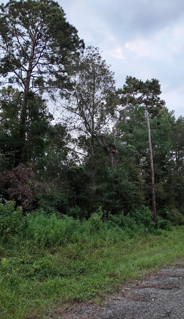 TBD N Essex Dr, Conroe, TX 77302