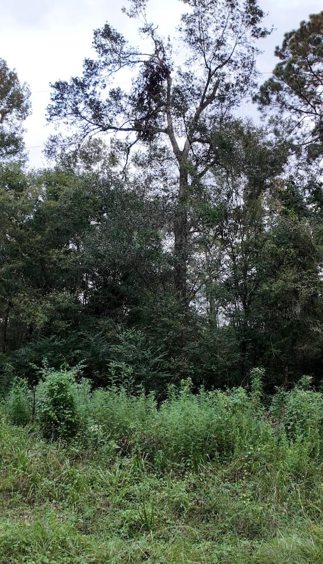 TBD N Essex Dr, Conroe, TX 77302