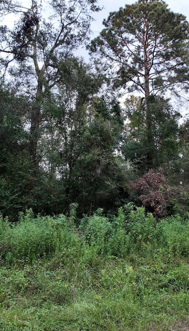 TBD N Essex Dr, Conroe, TX 77302