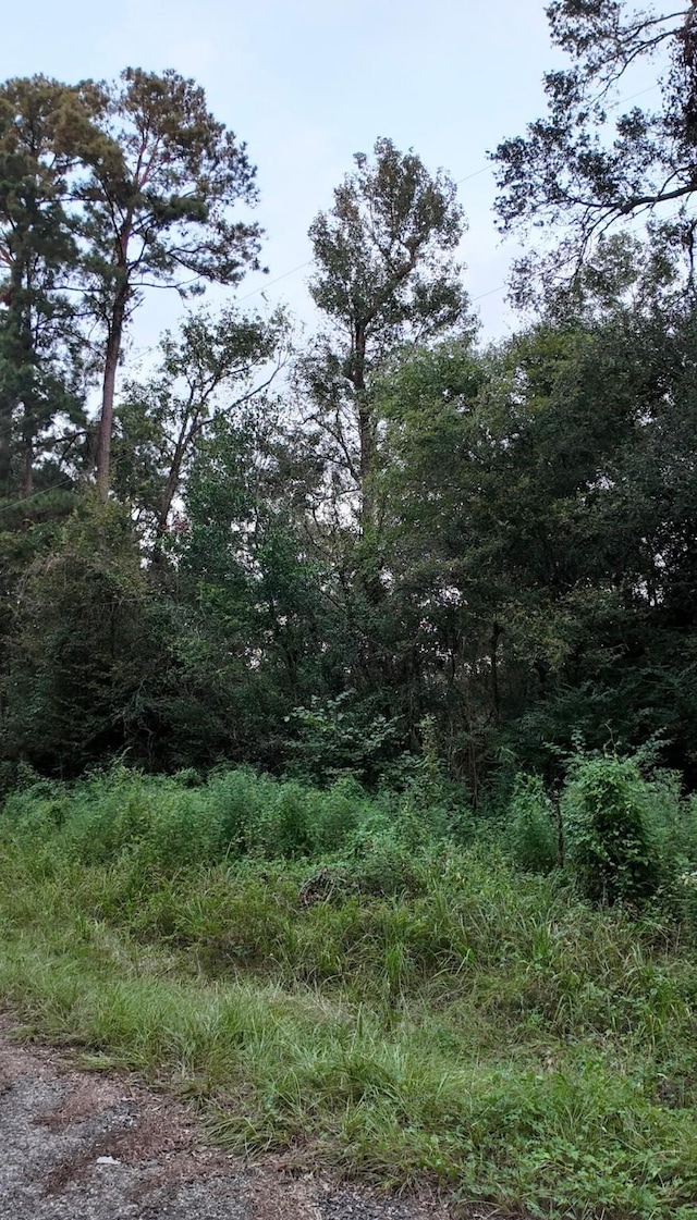 TBD N Essex Dr, Conroe, TX 77302
