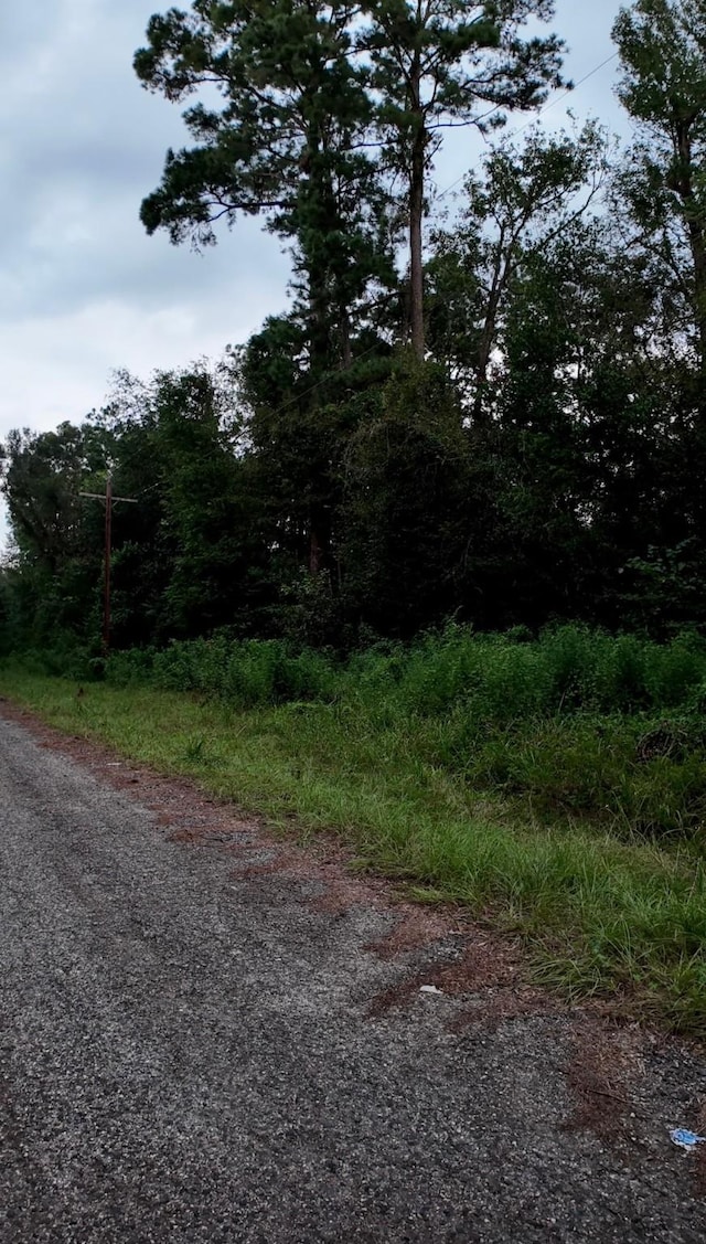 TBD N Essex Dr, Conroe, TX 77302