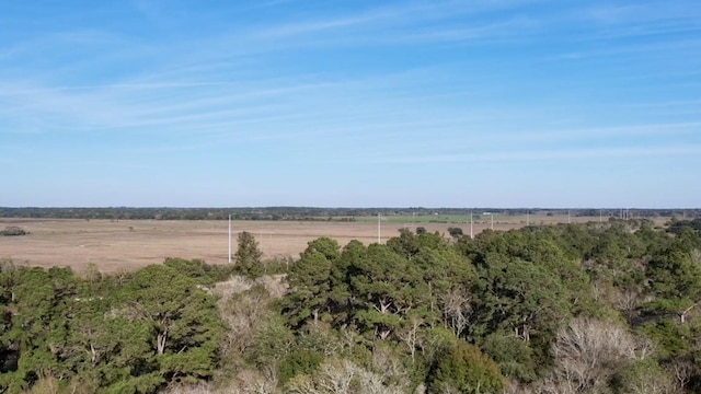 TBD Highway 65, Stowell TX, 77665 land for sale