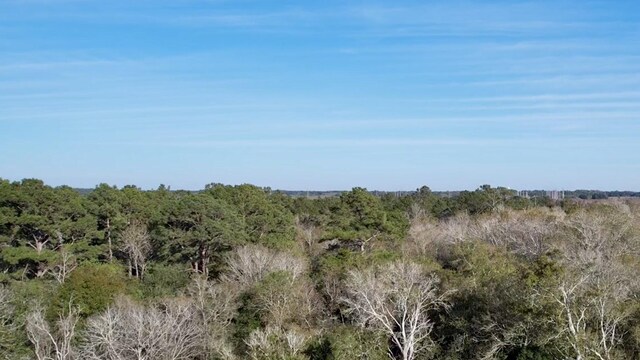 TBD Highway 65, Stowell, TX 77665