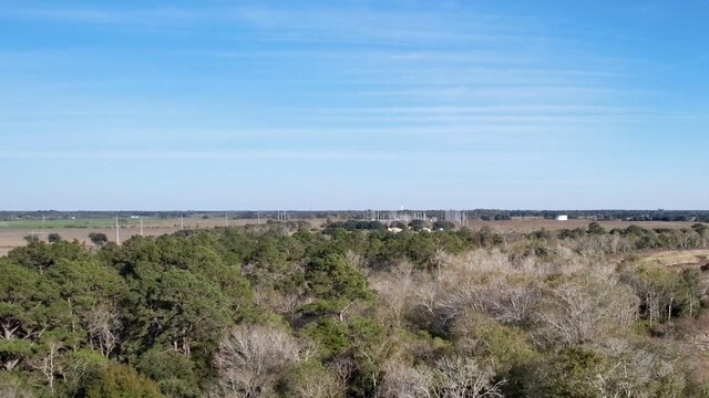 TBD Highway 65, Stowell, TX 77665