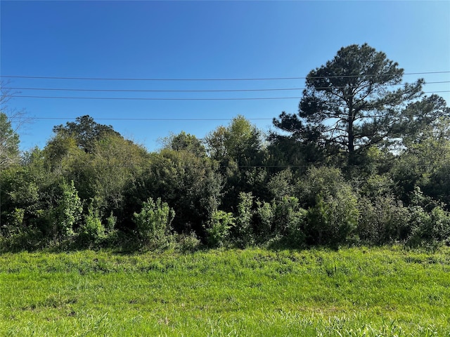 TBD Highway 65, Stowell, TX 77665