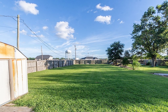 view of yard with a storage shed