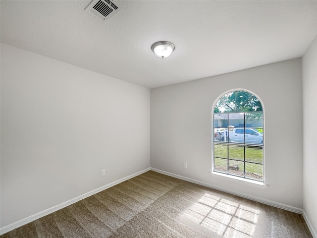 carpeted spare room featuring a wealth of natural light