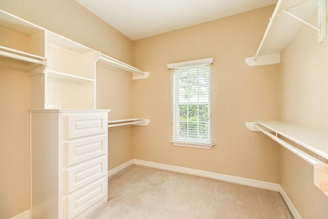 spacious closet featuring light colored carpet