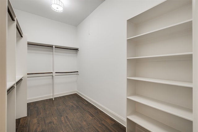 walk in closet featuring wood-type flooring