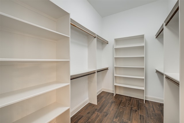 spacious closet with dark hardwood / wood-style floors