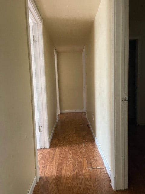 hallway featuring wood-type flooring