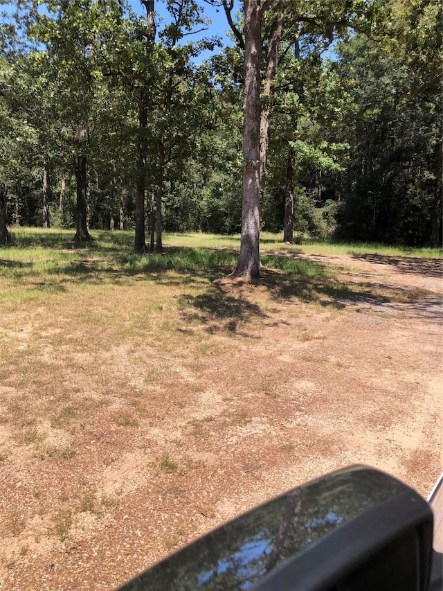 19190 Todd Rd, Magnolia TX, 77355 land for sale