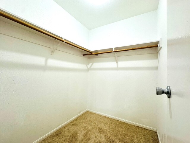 walk in closet featuring light carpet