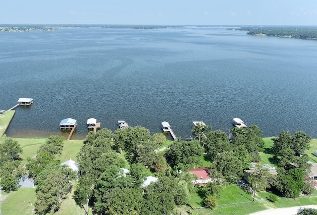 bird's eye view with a water view