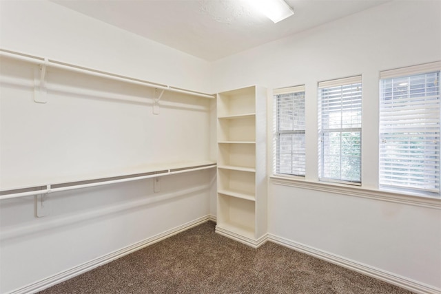 walk in closet with dark colored carpet