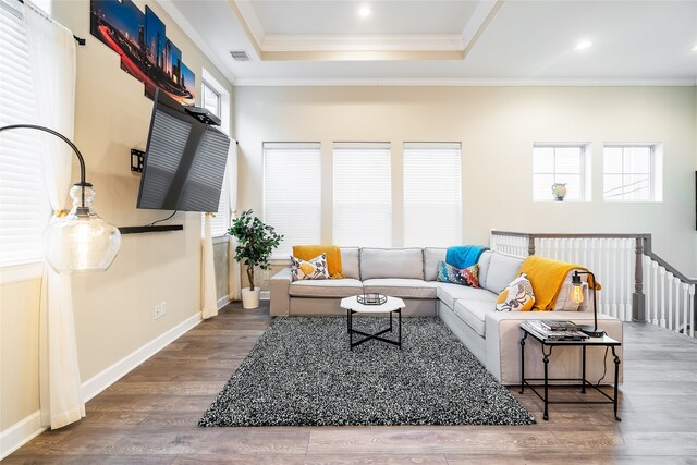 living room with hardwood / wood-style flooring, a raised ceiling, and a healthy amount of sunlight