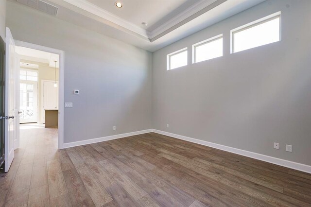 spare room featuring plenty of natural light, a raised ceiling, and wood-type flooring