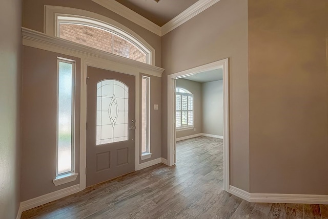 foyer with crown molding, a healthy amount of sunlight, and wood-type flooring