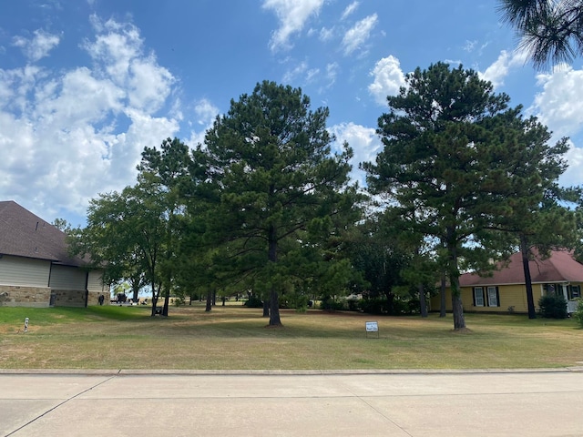 Listing photo 3 for 10856 Bourbon St, Willis TX 77318