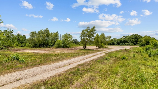 1403 Algoa Friendswood Rd, Alvin, TX 77511 - photo 17