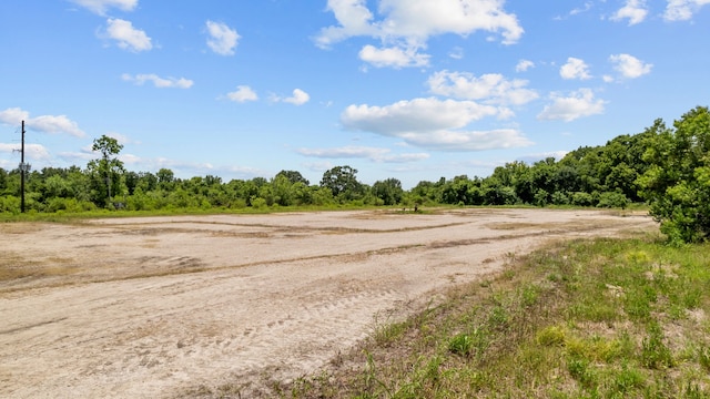 1403 Algoa Friendswood Rd, Alvin, TX 77511 - photo 15