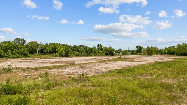 1403 Algoa Friendswood Rd, Alvin, TX 77511 - photo 8