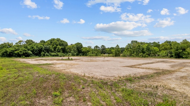 1403 Algoa Friendswood Rd, Alvin, TX 77511 - photo 9