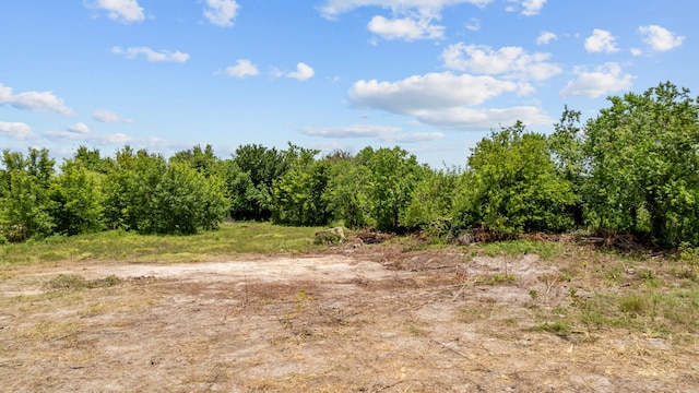 1403 Algoa Friendswood Rd, Alvin, TX 77511 - photo 11