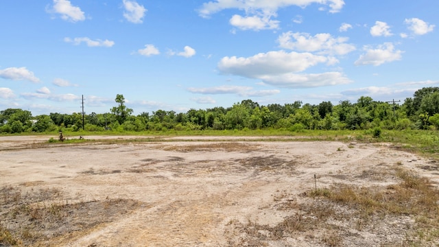 1403 Algoa Friendswood Rd, Alvin, TX 77511 - photo 13