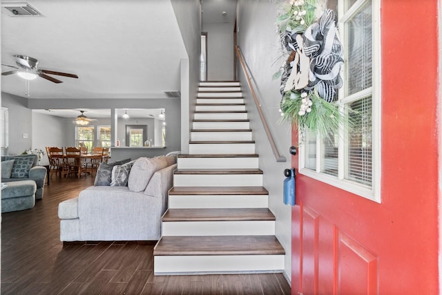 staircase featuring ceiling fan and wood-type flooring