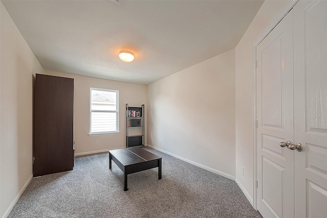 sitting room featuring carpet floors