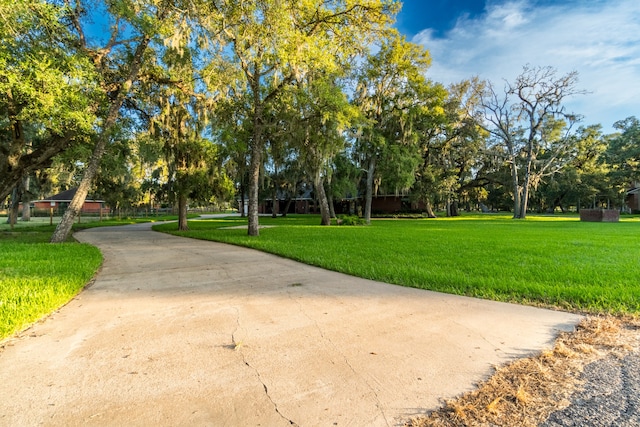 view of home's community with a lawn