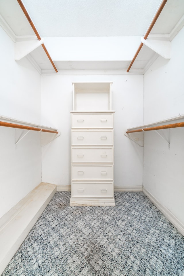 walk in closet with light colored carpet