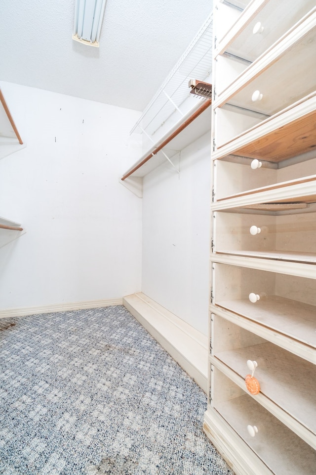 walk in closet featuring carpet floors