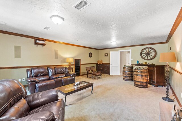 carpeted living room with ornamental molding and a textured ceiling